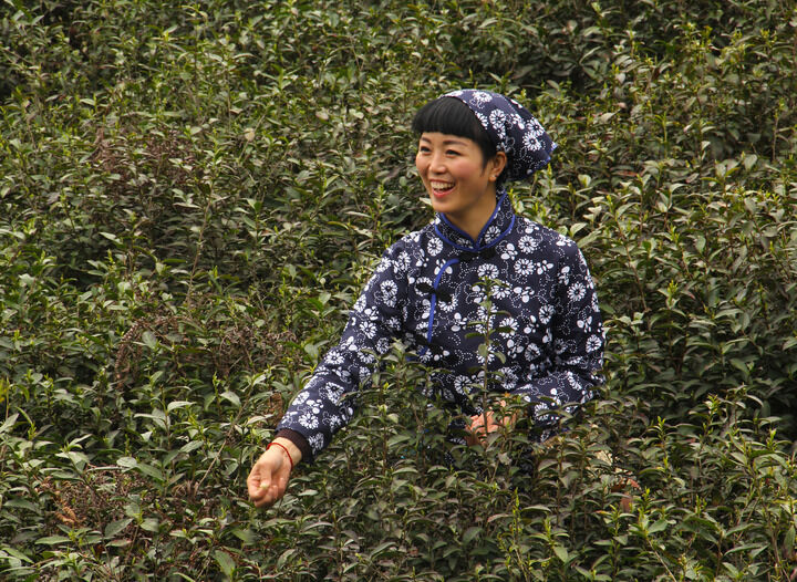 子弹与口红